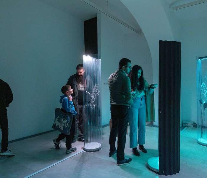 Svetlobna gverila: Raznolikosti