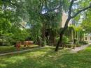 A Summer of Architecture, Books and Greenery at Plečnik House